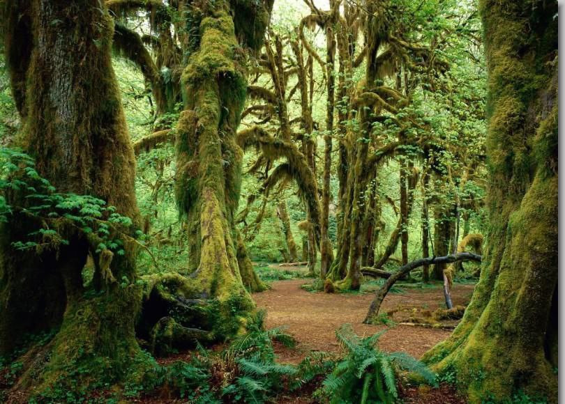 Фототур в Абхазию. Детский и семейный фотограф Нижнего Новгорода и Москвы Олеся Ратникова