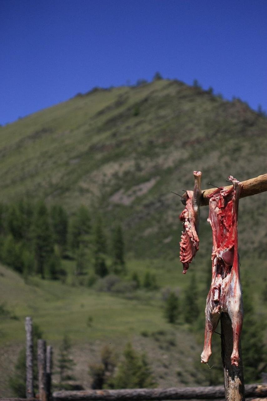 Тыва. ZAGLADIN Bureau