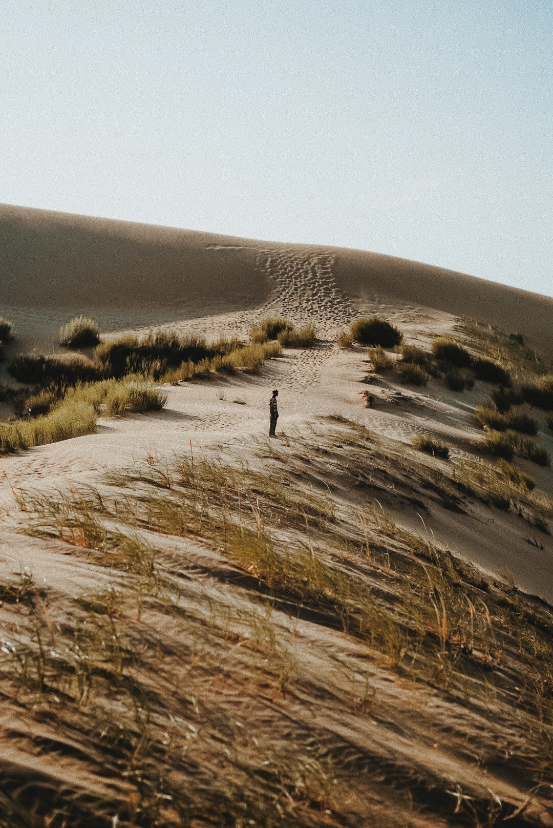 ПЕЙЗАЖ / LANDSCAPE. @oljiofilm: Олег Иванов — фотограф