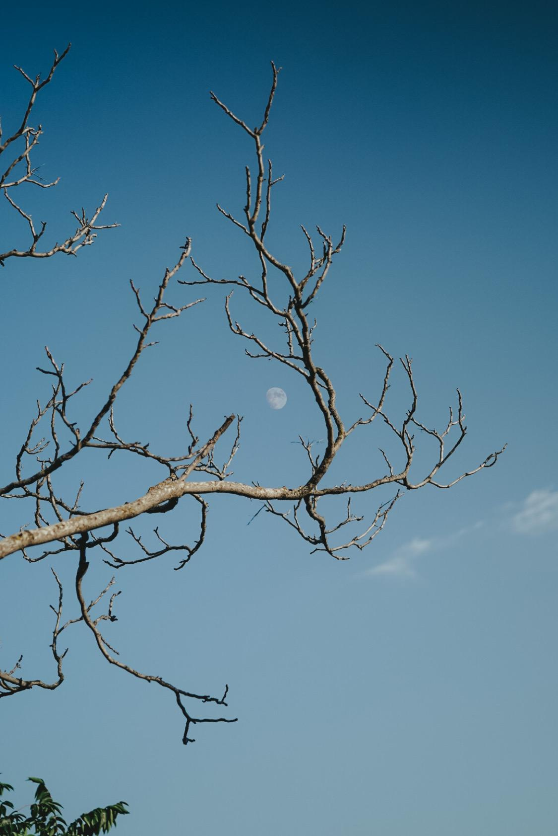 ПЕЙЗАЖ / LANDSCAPE. @oljiofilm: Олег Иванов — фотограф