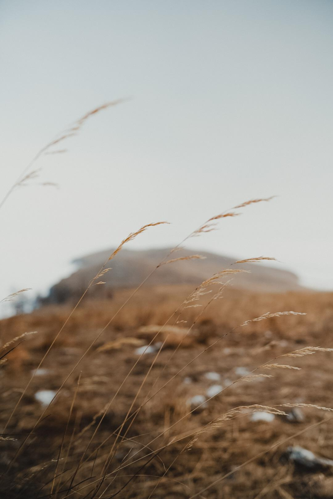 ПЕЙЗАЖ / LANDSCAPE. @oljiofilm: Олег Иванов — фотограф