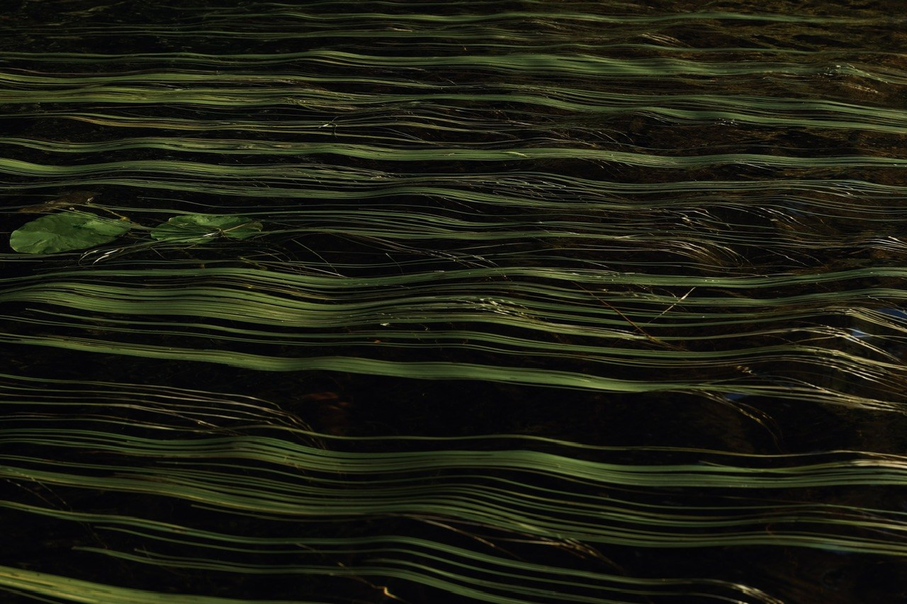 Архангельская область. Фотограф Евгений Андреев