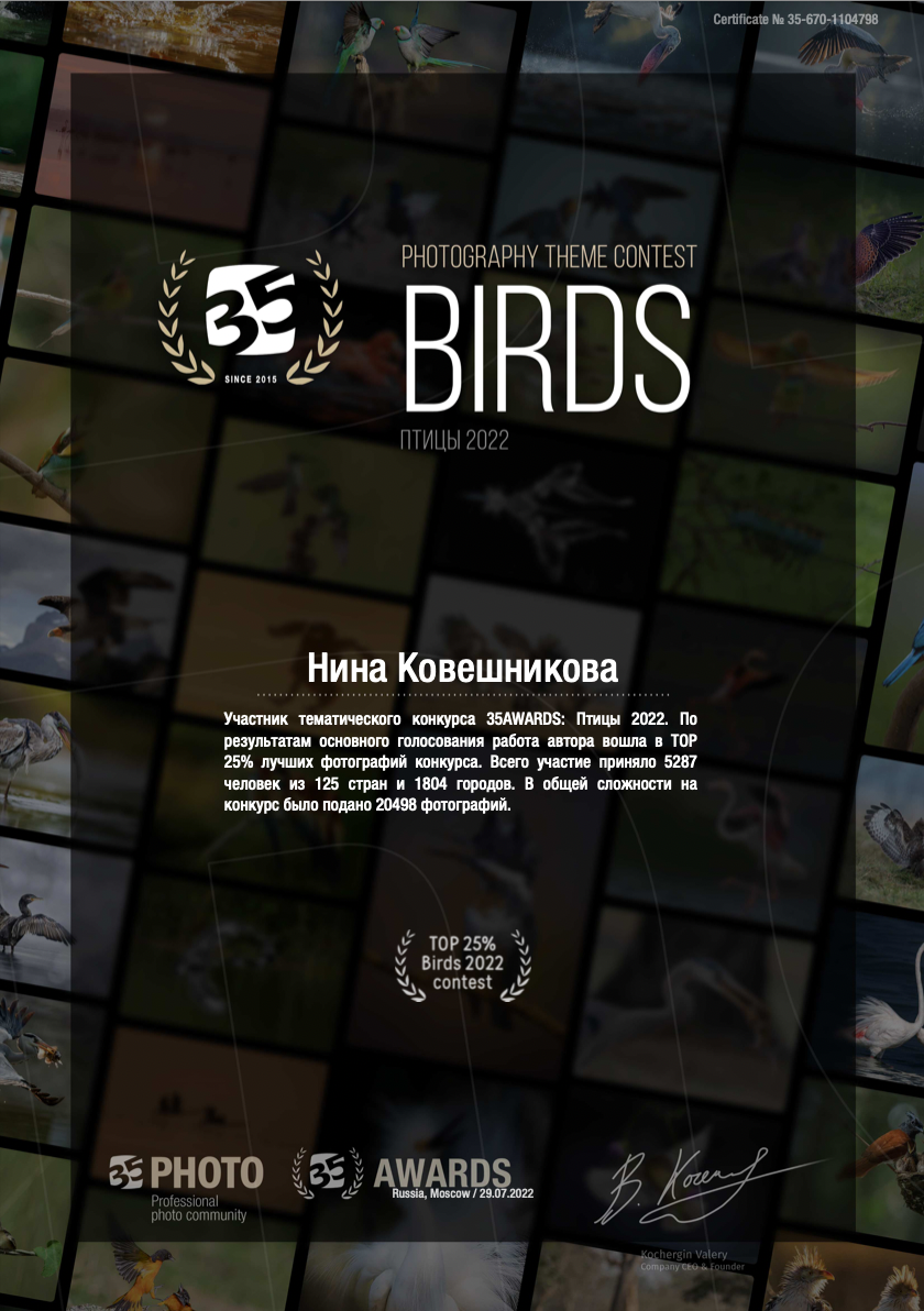 Сертификаты и грамоты. Нина Ковешникова