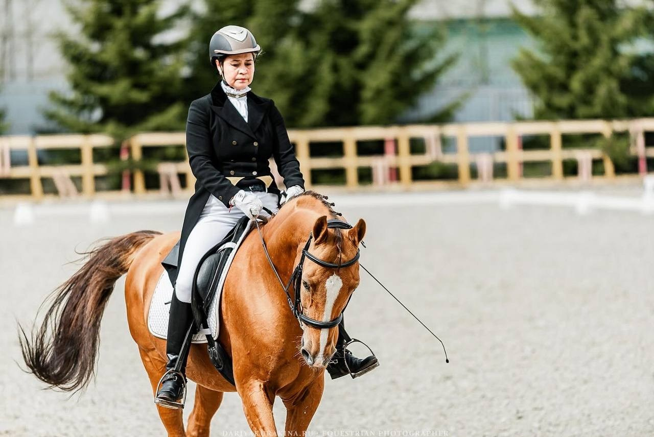 Кубок Московской области по выездке, КСК «Эквиторус». Конный фотограф Куракина Дарья • Фотосессии с лошадьми
