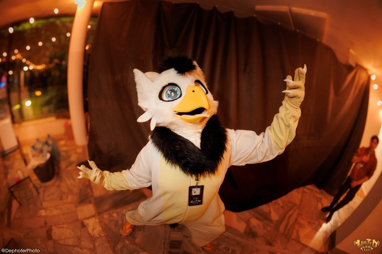 United Furry Convention 2026. Различные мероприятия и просто фотографии людей