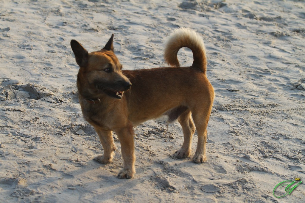 Тайланд. Пхукет 2013. Улица, люди, жизнь…