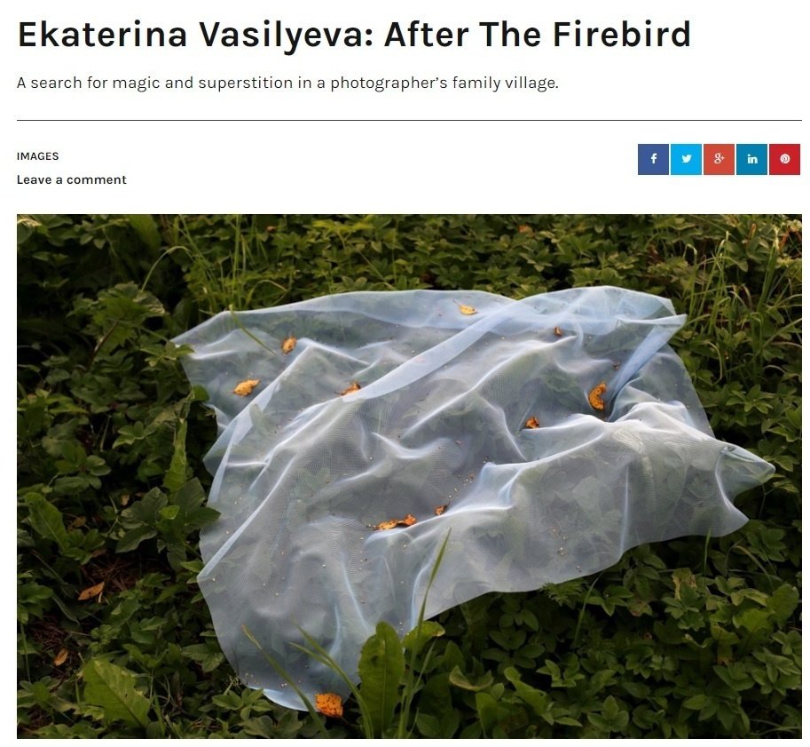 Екатерина Васильева художник, куратор и преподаватель