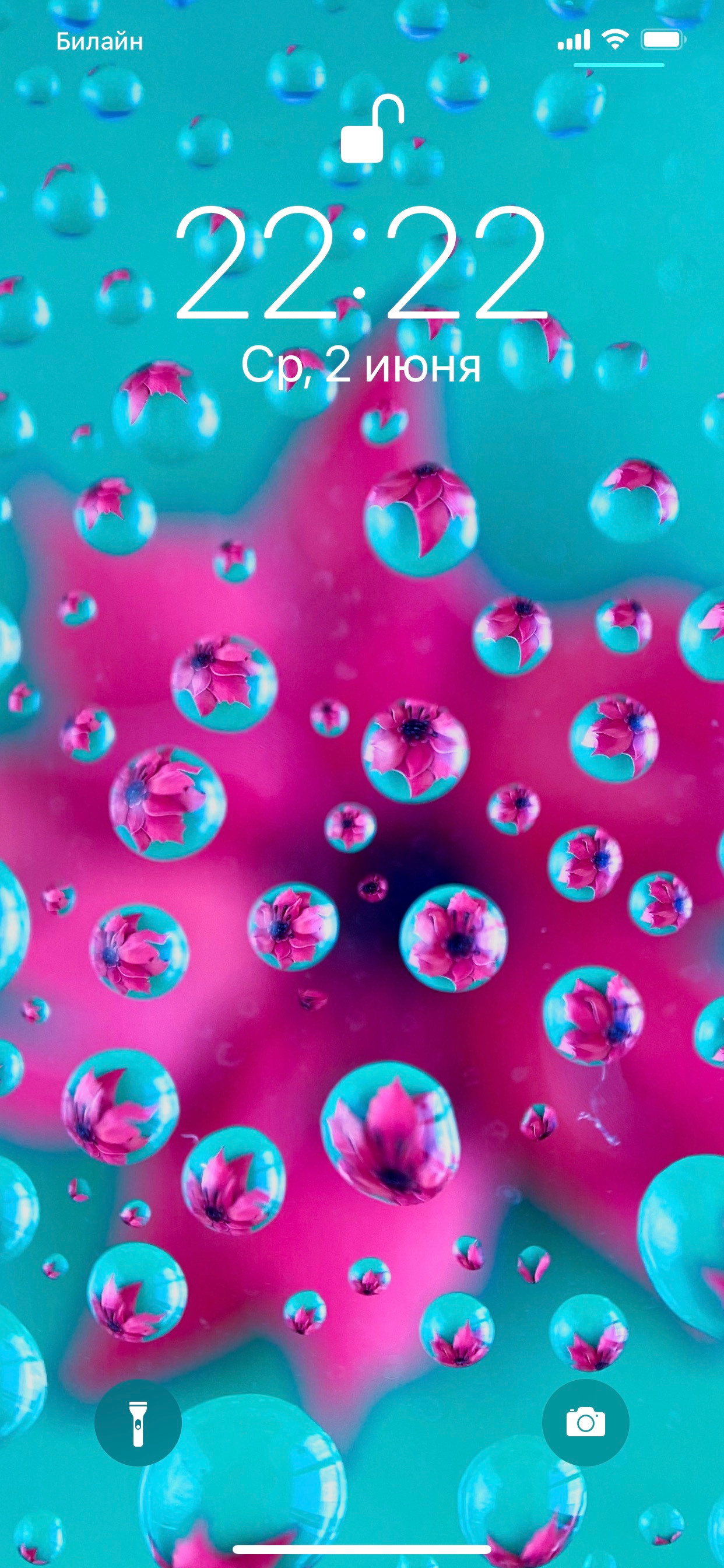 Макросъемка. Фотограф и видеограф в Ставрополе Инна Попова