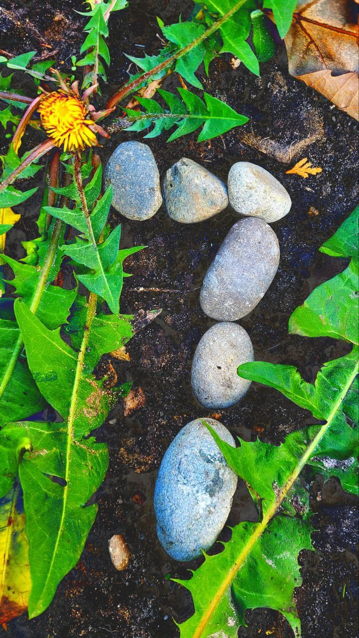 Проект «366»|2024|Фото каждый день. LENA GRACE photographer ||ЛЕНА ГРЭЙС фотограф