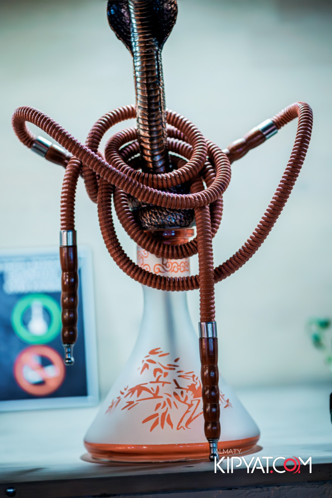 AVENUE. КИПЯТКОМ АЛМАТЫ!