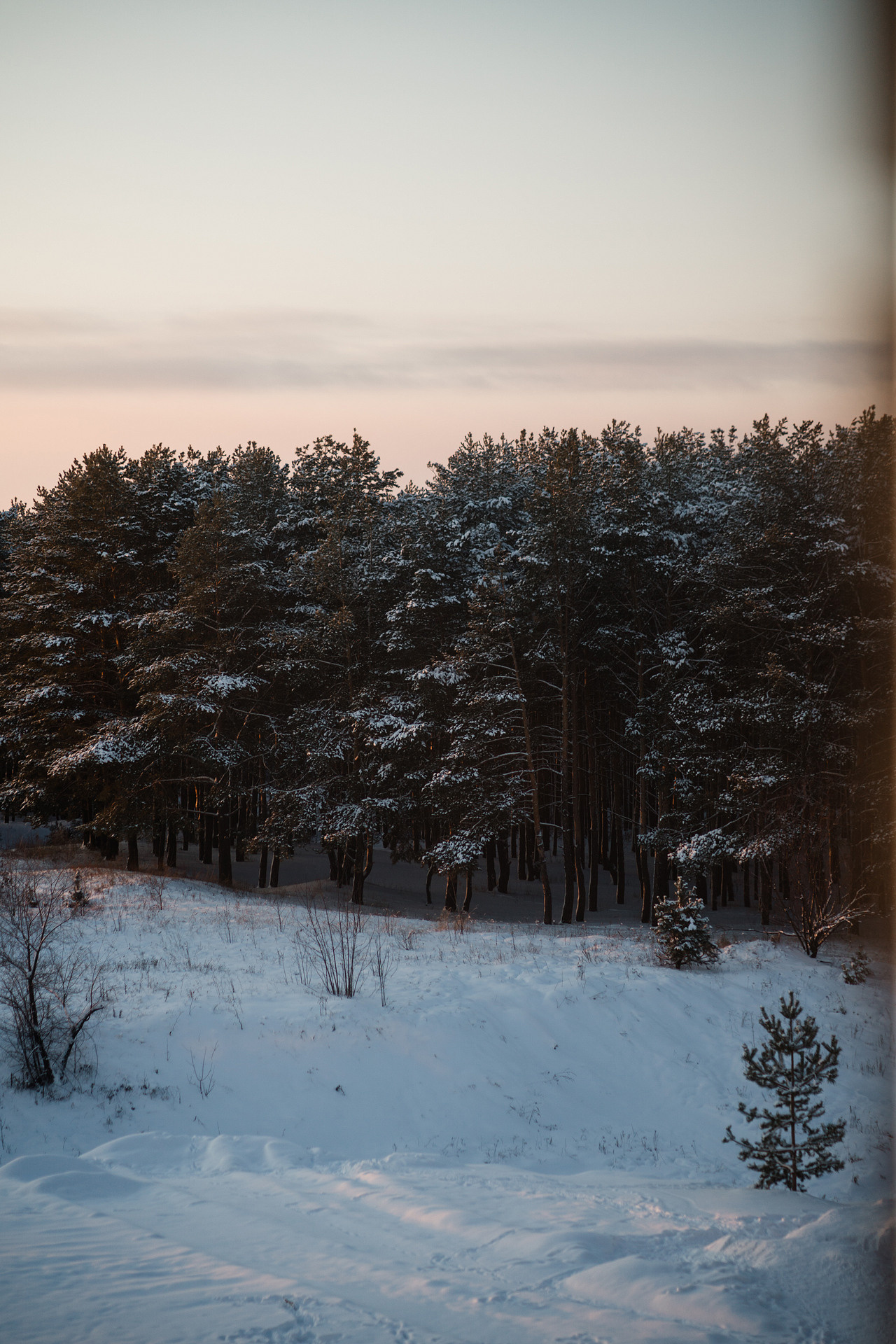 Семейная дома — Зима. Свадебный Фотограф Казань Челны