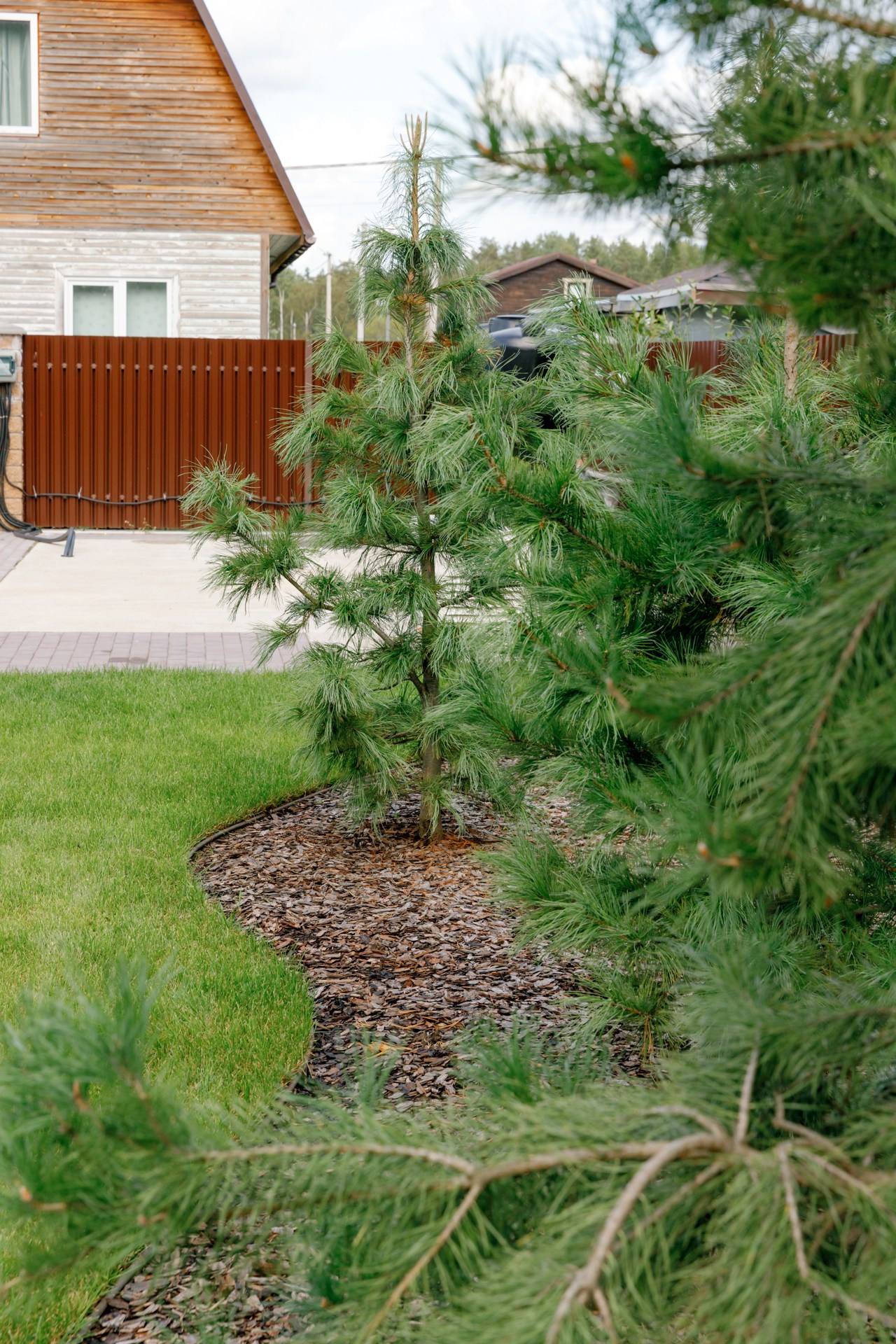 Загородный дом. Ландшафтный дизайн. Репортажный фотограф в Санкт-Петербурге Жолудев Владислав