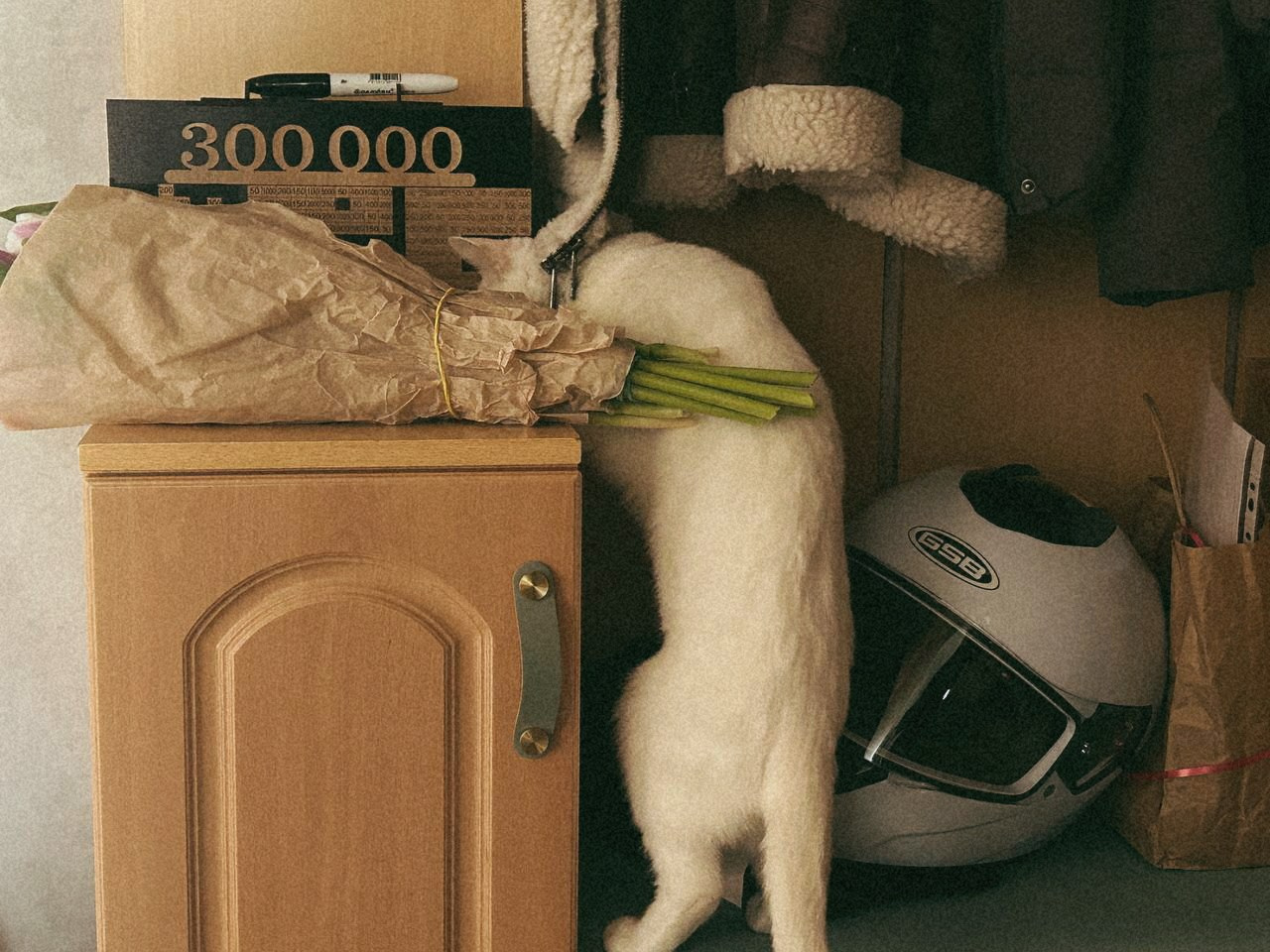 Happy March 8 🌷. <3