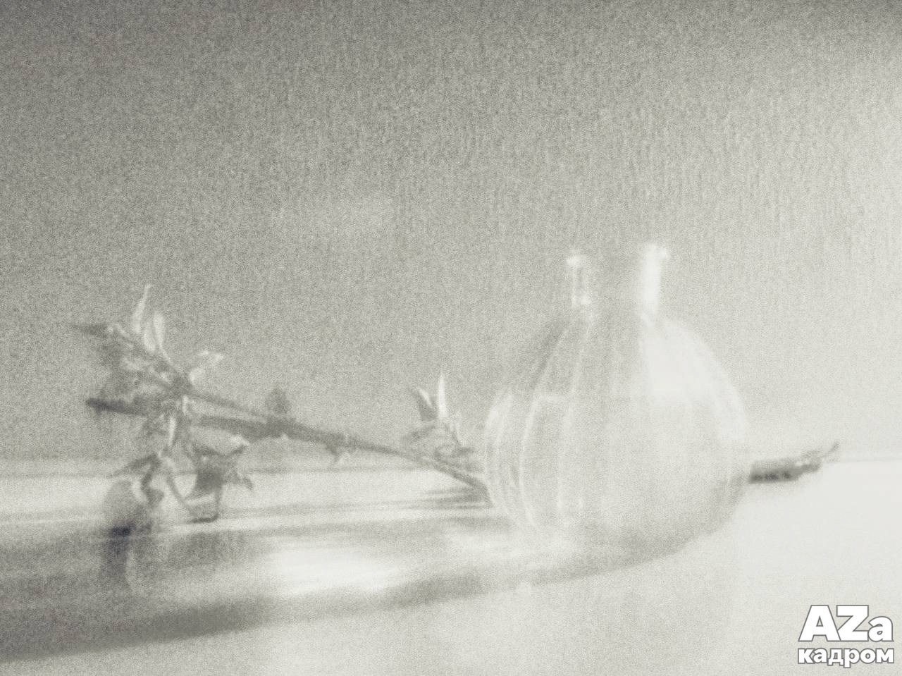 AZакадром «Что для меня дом». Женский семейный фотограф Тула Москва Захарова Анна