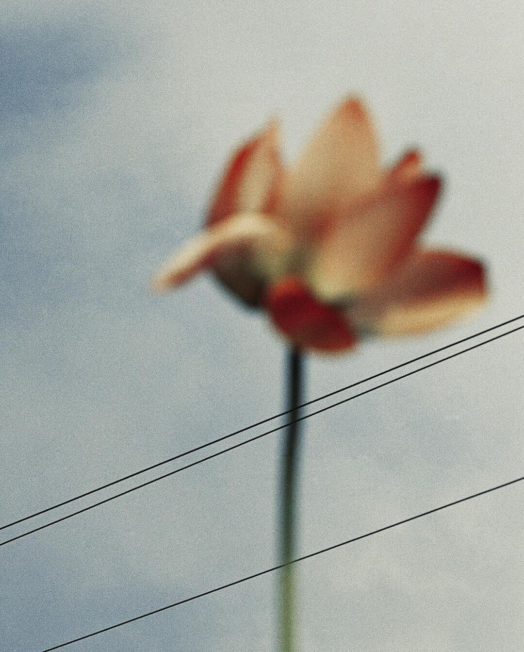 Отзывы профессиональных фотографов о диске Wfolio