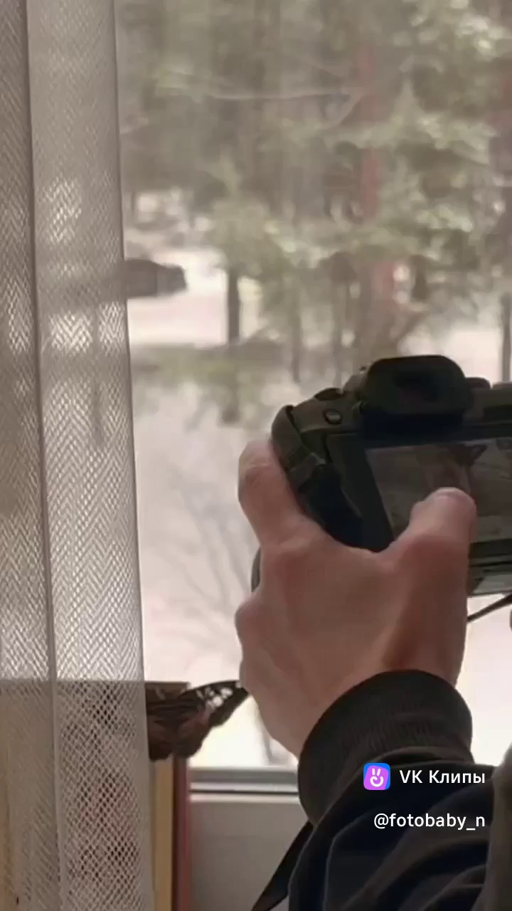 Фотосессия с бабочками. Фотограф новорожденных в Ижевске Анастасия Преснякова