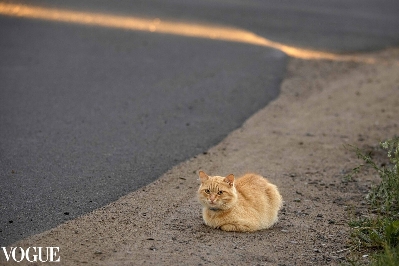 PhotoVogue. Фотографии Лены Соколовой