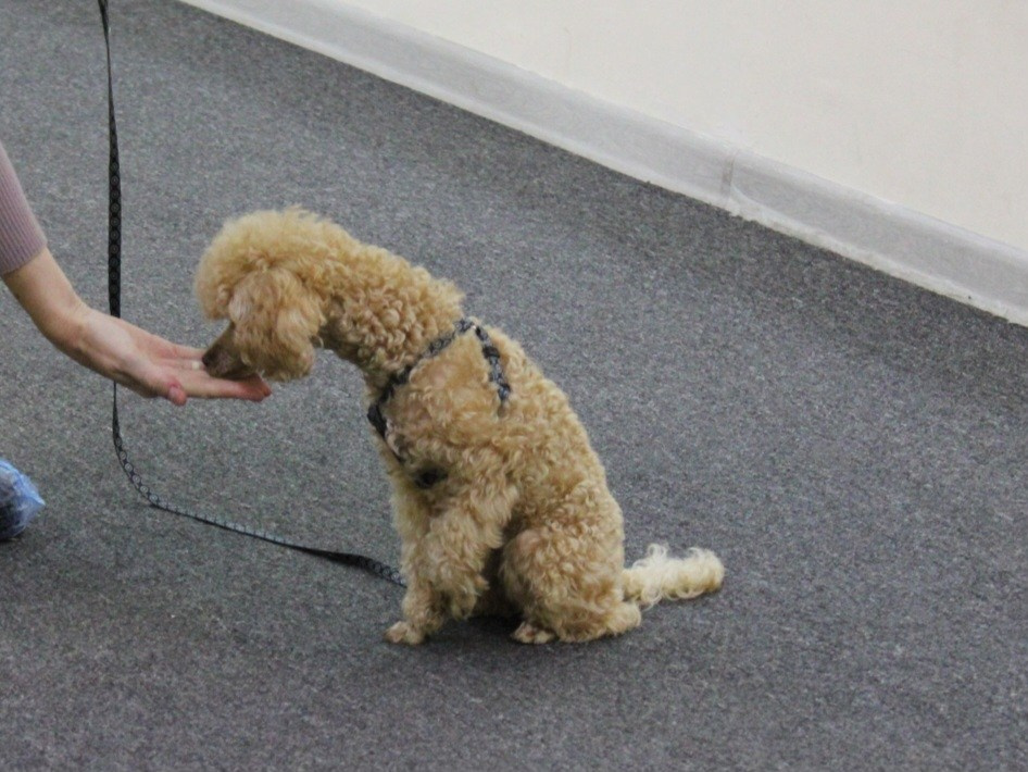 Репортаж УС «ДЦ Ральф». Катя Попова|ЛайфСтайл фотограф