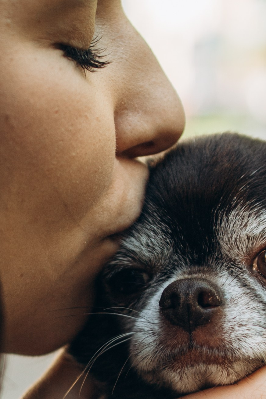 Даша и ее мальчики. Фотограф — Анималист | Санкт-Петербург