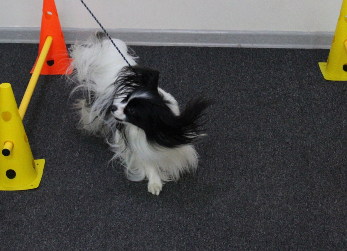 Репортаж УС «ДЦ Ральф». Катя Попова|ЛайфСтайл фотограф