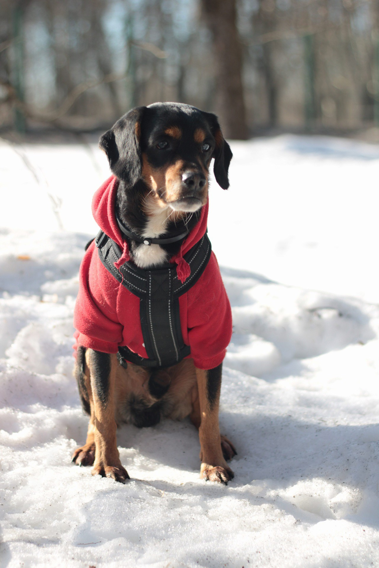 Маша и Кекс. Катя Попова|ЛайфСтайл фотограф