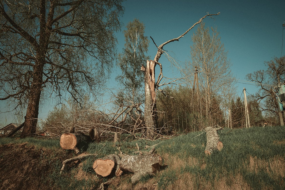 Прощание с домом детства. Фотограф Москва Брянск