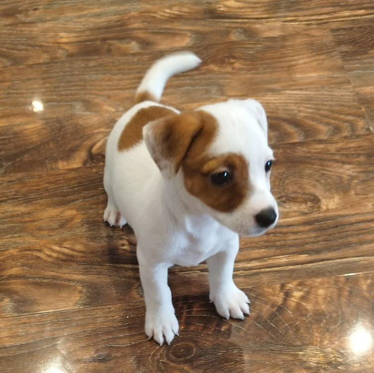 Anka`s Instagram. Заставка