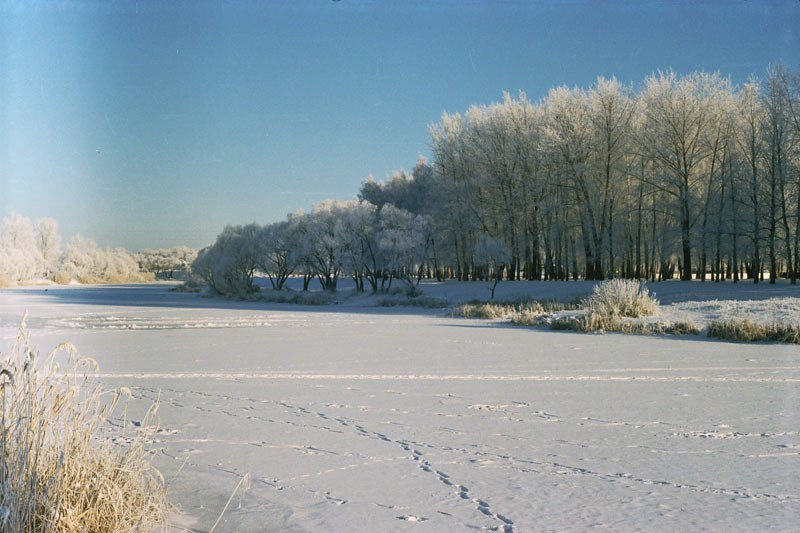 Немного творчества. Фотограф Воронеж, фотосъемка свадеб, детских садов, фотоальбомы