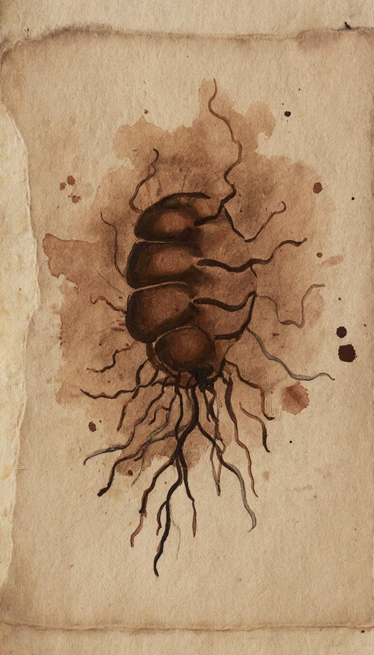 КНИГА ХУДОЖНИКА / ЗИН. CONTEMPORARY ARTIST OLGA ANDRIYASH