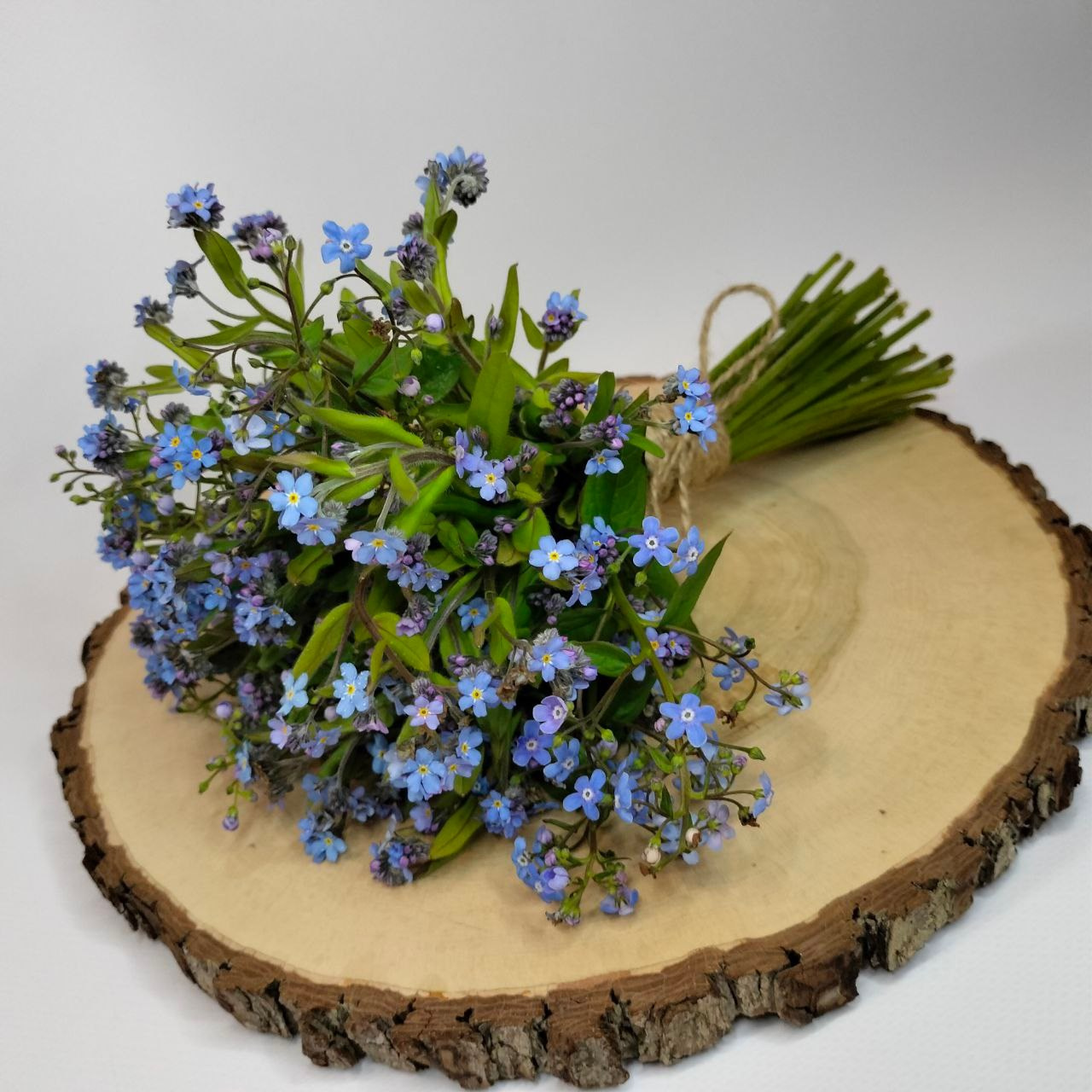 Майские незабудки