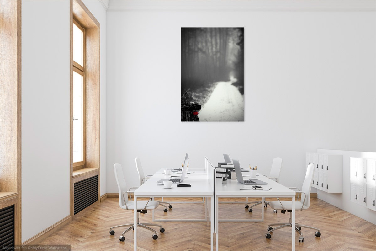 Визуализация моих картин (visualization of my paintings in the interior). Фотограф (photographer) Lischinski Vitaliy