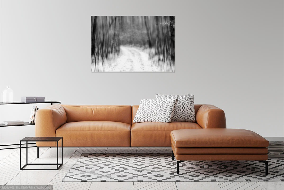 Визуализация моих картин (visualization of my paintings in the interior). Фотограф (photographer) Lischinski Vitaliy