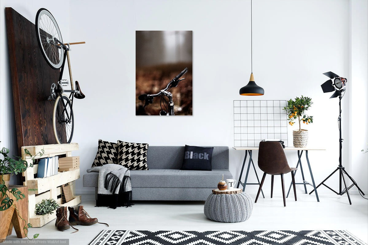 Визуализация моих картин (visualization of my paintings in the interior). Фотограф (photographer) Lischinski Vitaliy