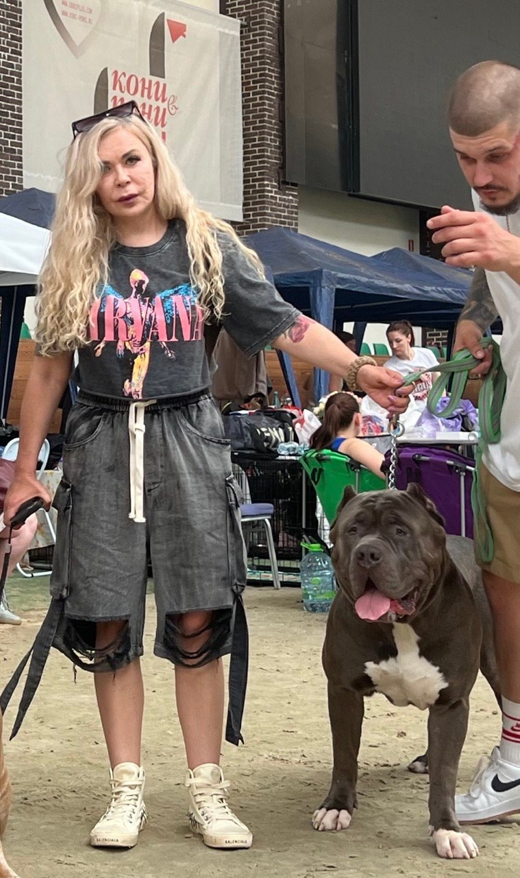 Участие в выставках. Американские булли XL в г. Калининград. Питомник Great Bully UNIVERSE