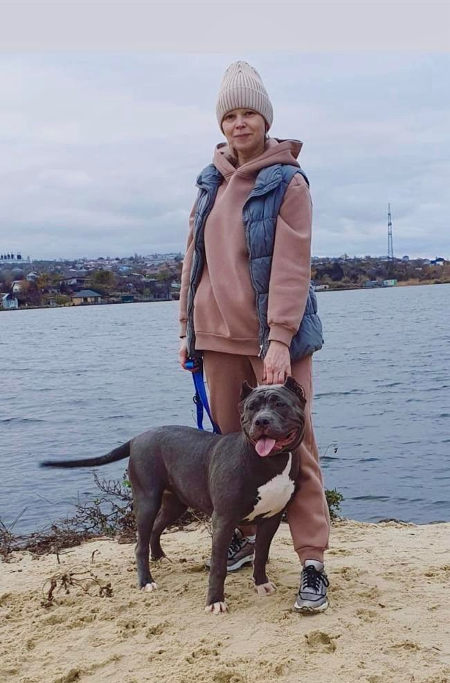 UPB’s Queenie & Zeus. 16.04.24. Американские булли XL в г. Калининград. Питомник Great Bully UNIVERSE