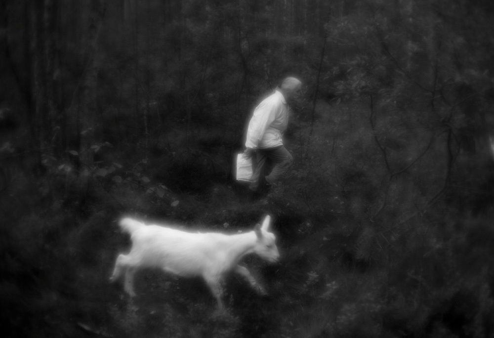 Татьяна. Главная