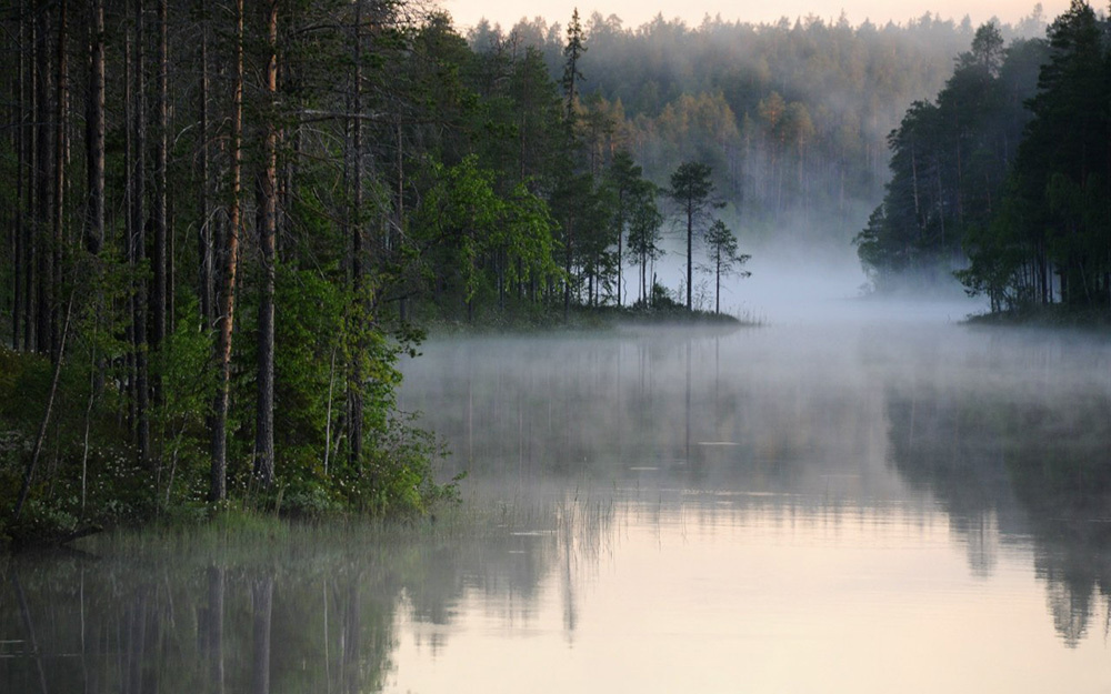 Ландшафты. Главная