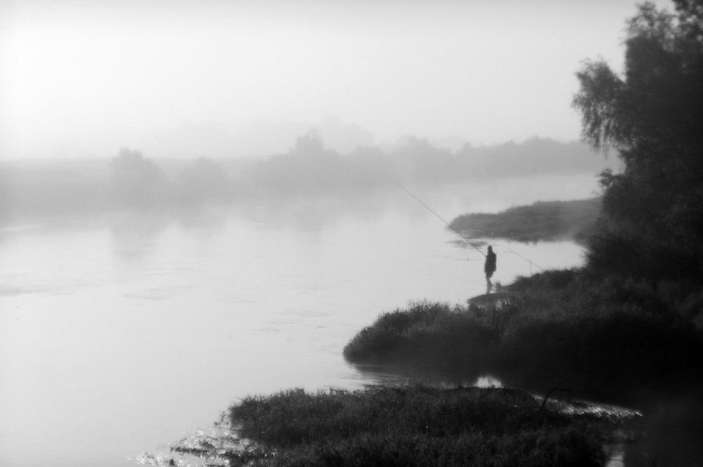 Ландшафты. Главная