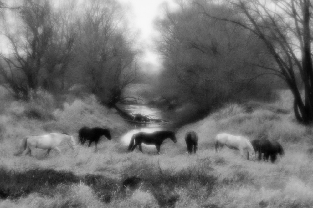 Ландшафты. Главная