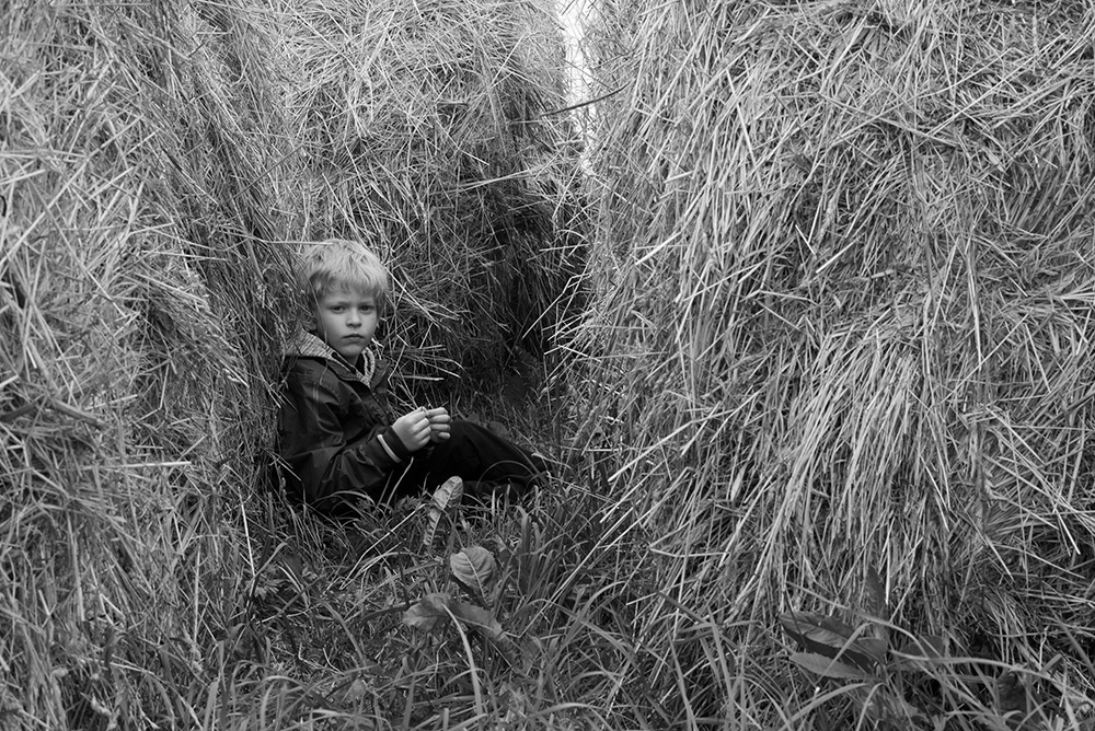 Портреты. Главная