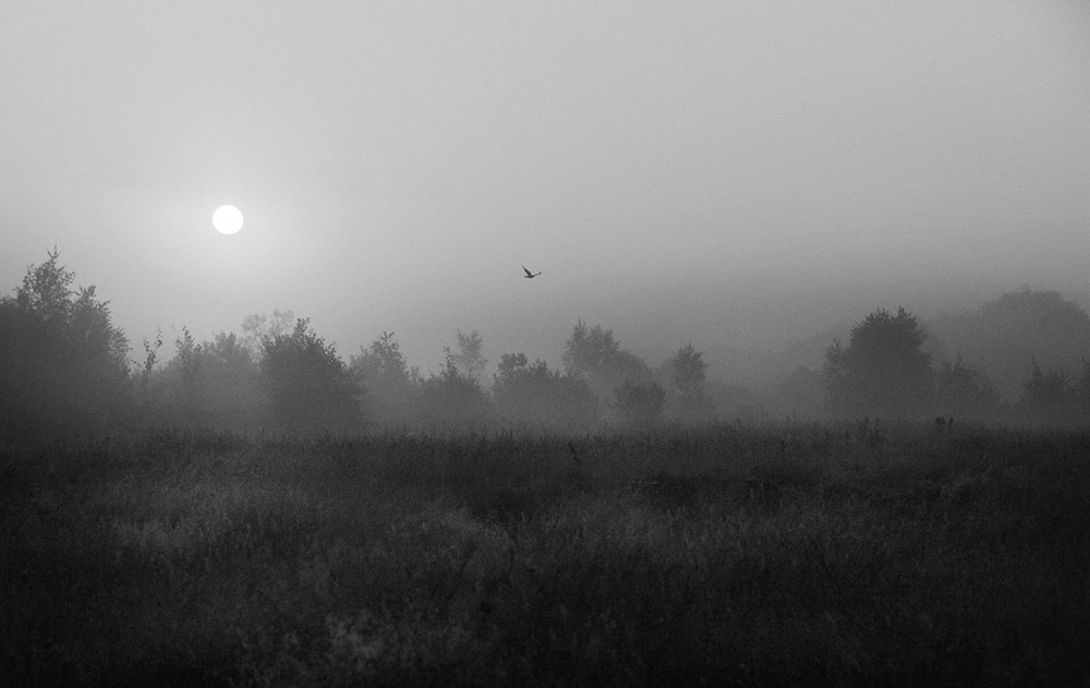 Ландшафты. Главная