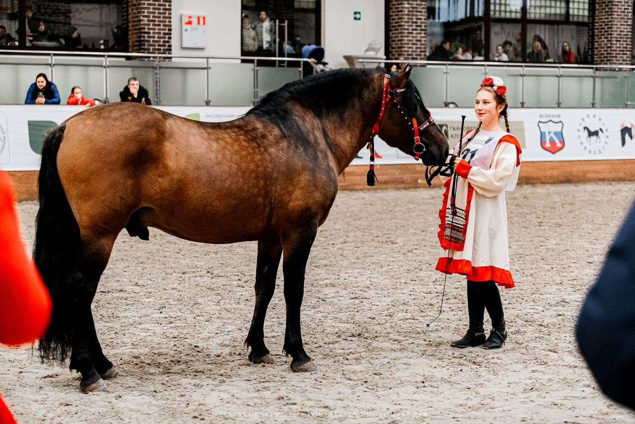 КОННАЯ РОССИЯ 2024. Конный фотограф Куракина Дарья • Фотосессии с лошадьми