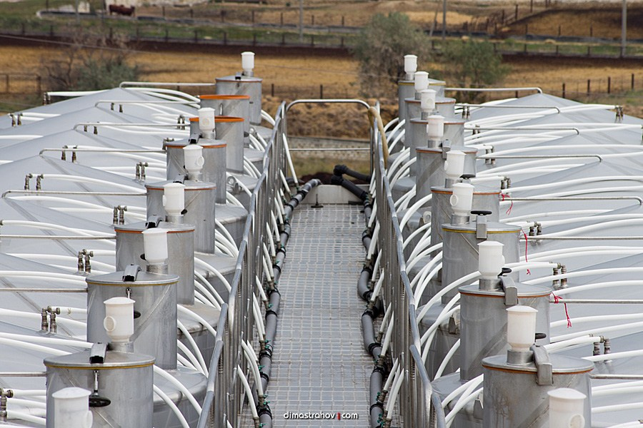 Винзавод Качинский +. Свадебный фотограф, фотосъемка в Крыму, Севастополе, Симферополе, Ялте