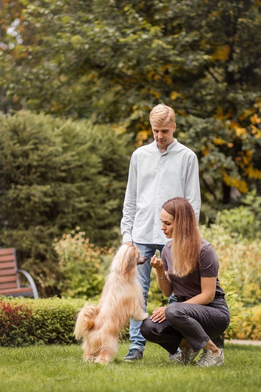 Poale Ell Veles. Chinese Crested Dog Kennel Poale Ell