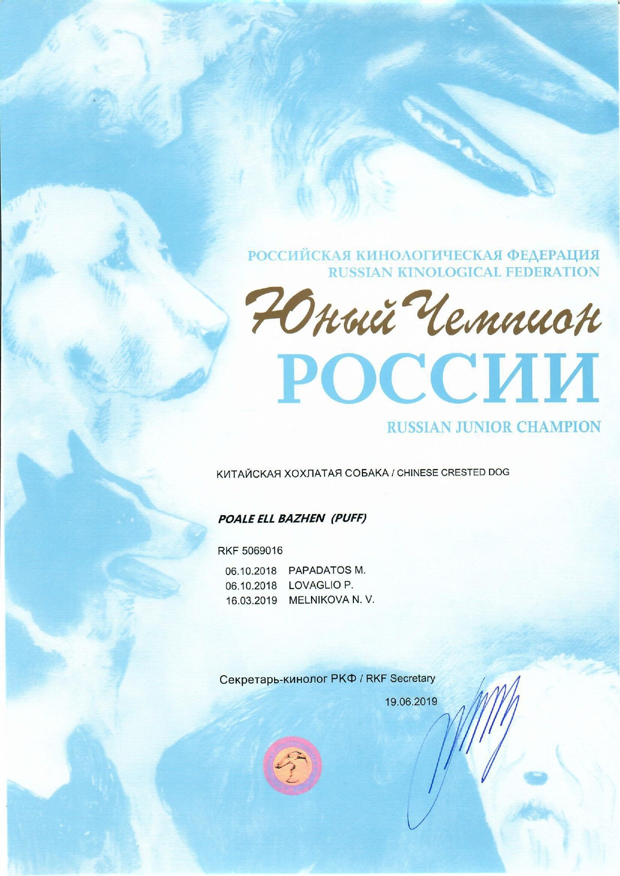 Poale Ell Bazhen. Chinese Crested Dog Kennel Poale Ell