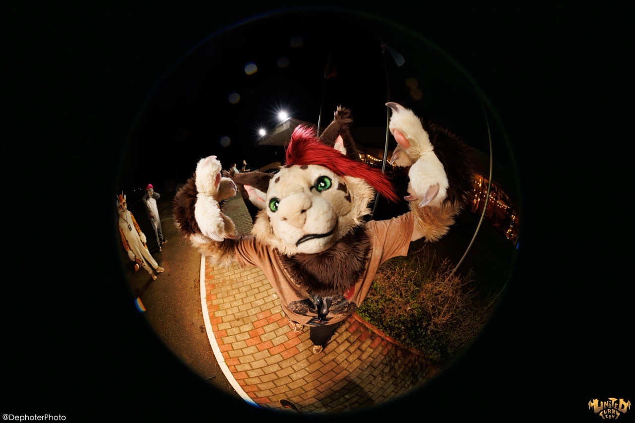 United Furry Convention 2026. Различные мероприятия и просто фотографии людей