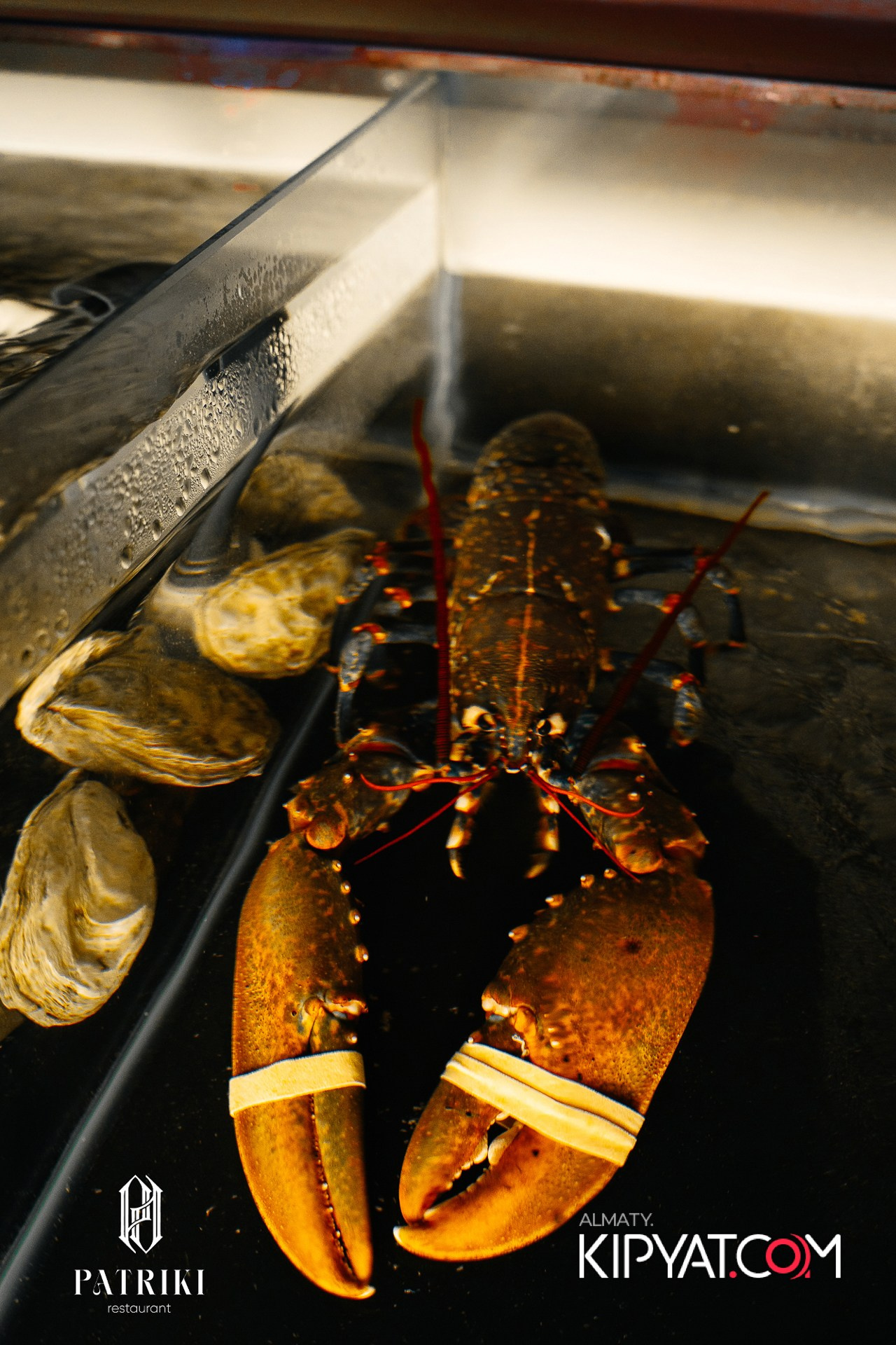 PATRIKI RESTAURAN. КИПЯТКОМ АЛМАТЫ!