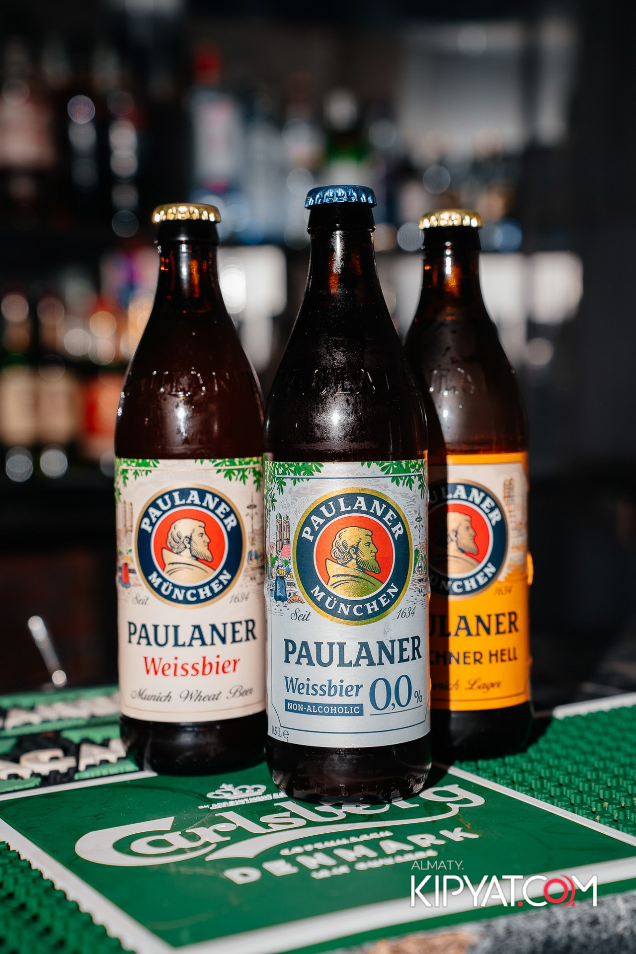 УХО И МЕДВЕДЬ НА ГАГАРИНА. КИПЯТКОМ АЛМАТЫ!