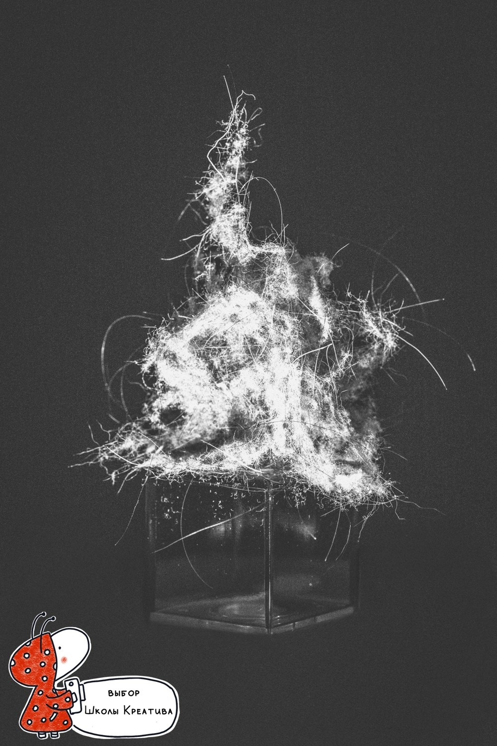 Дадаизм и Марсель Дюшан. Авторские стильные фотокартины