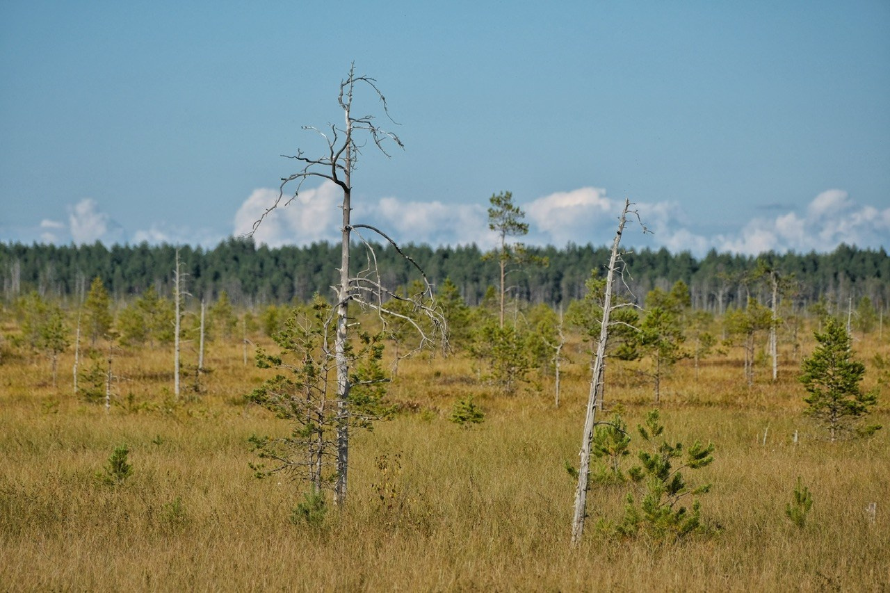Вологодская область. Фотограф Евгений Андреев